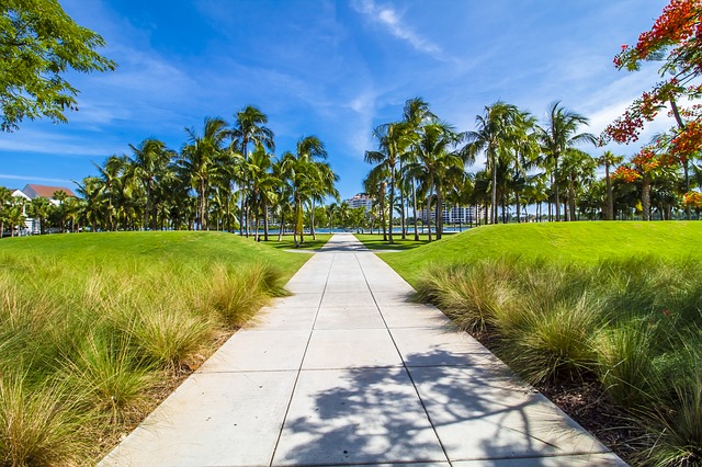 miami-3015763_640