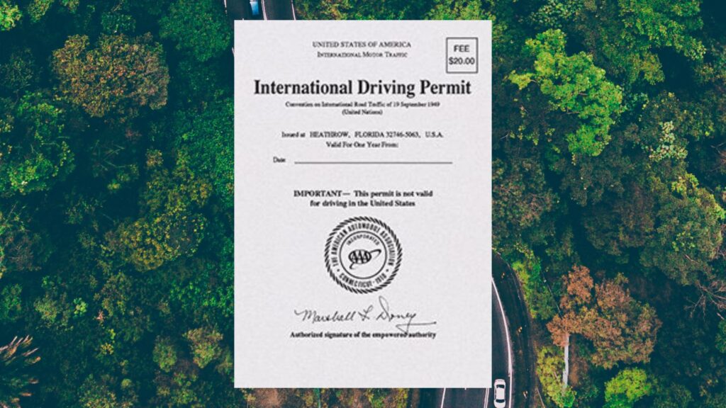 International Driving Permit superimposed over car driving on winding road through woods