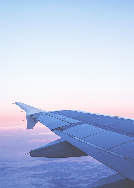looking out an airplane window